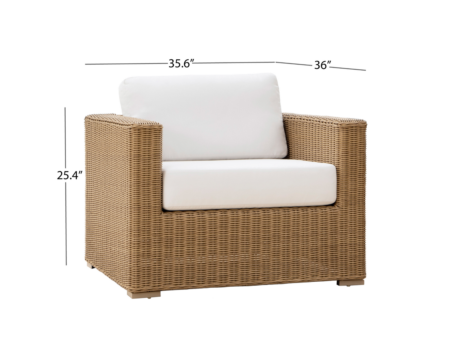Becki Owens Mariposa Outdoor Armchair (Set of 2)