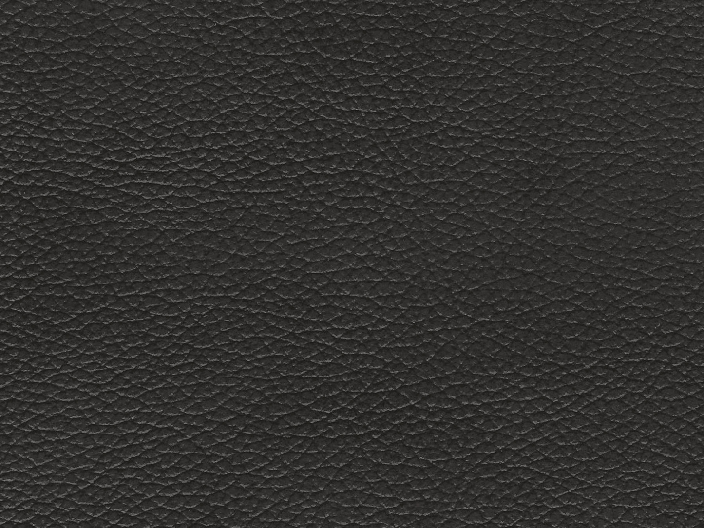 Austin Leather Sofa - Dark Gray