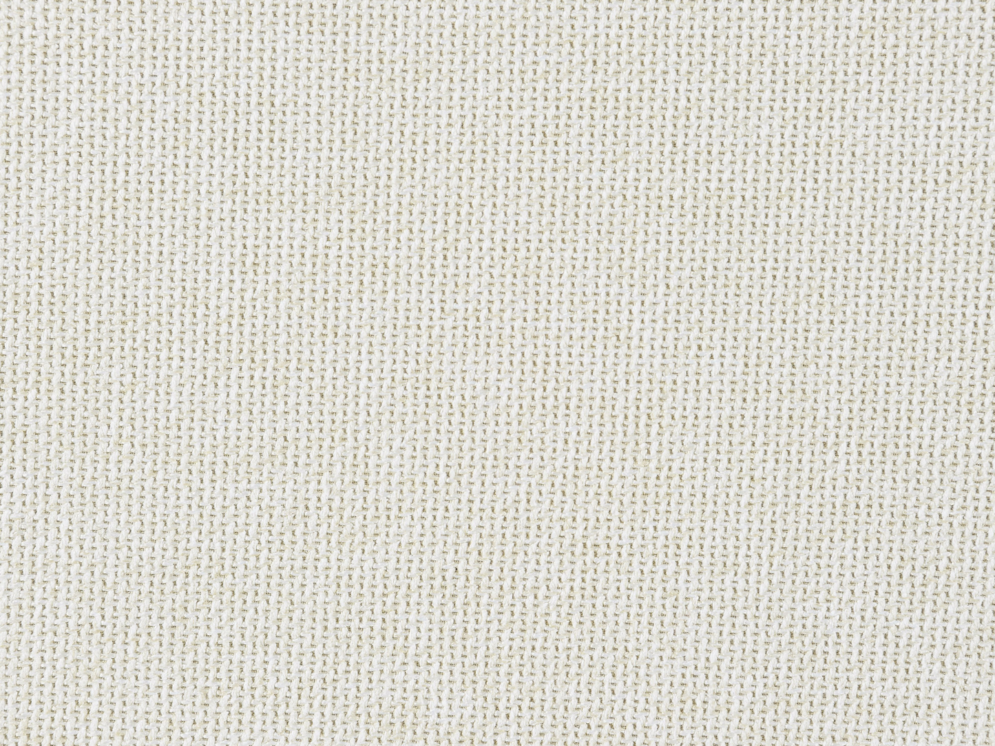 Aveline Upholstered Twin Daybed with Trundle - Ivory