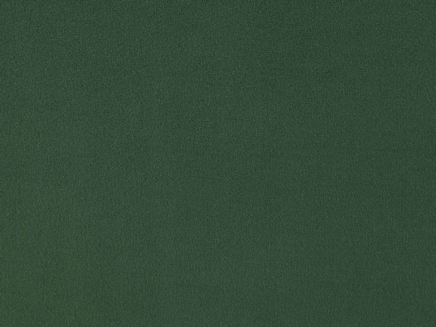 Becca 59" Upholstered Daybed - Green