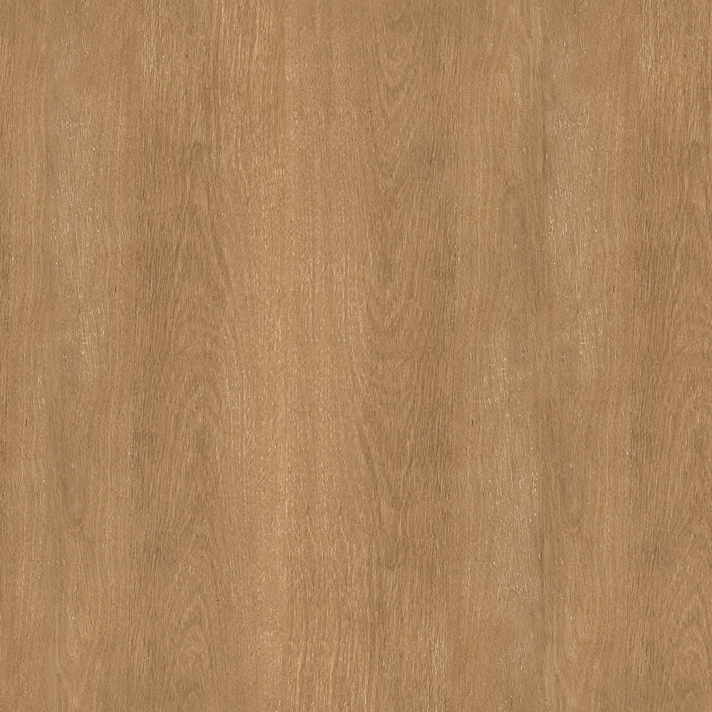 Details by Becki Owens, Charlotte Canopy Bed - Blonde - Queen