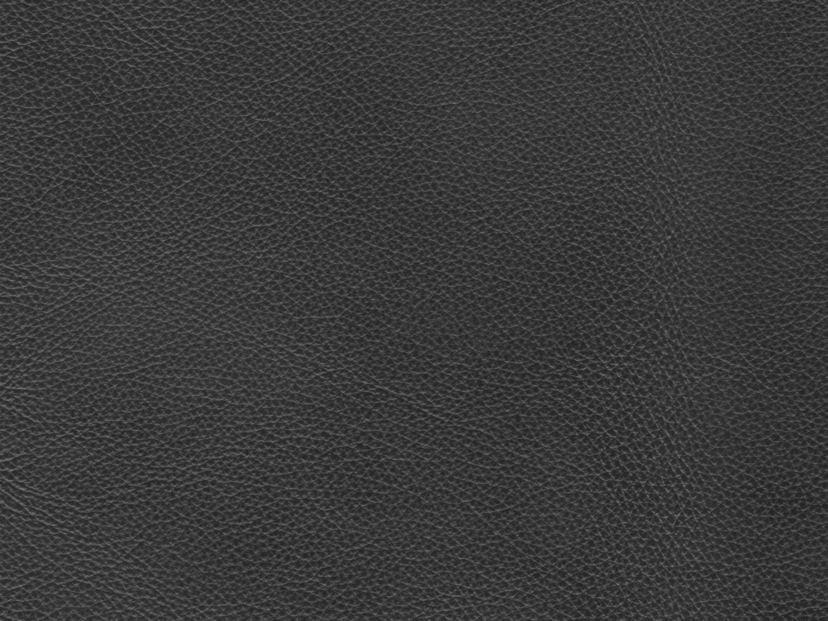 Gianna Leather Sofa - Dark Gray