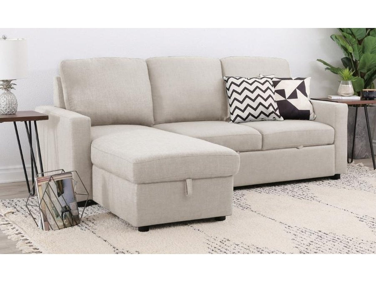 Newton Reversible Storage Sofa Bed Sectional - Beige