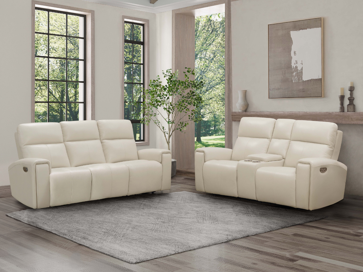 Leather power reclining sofa and loveseat hotsell