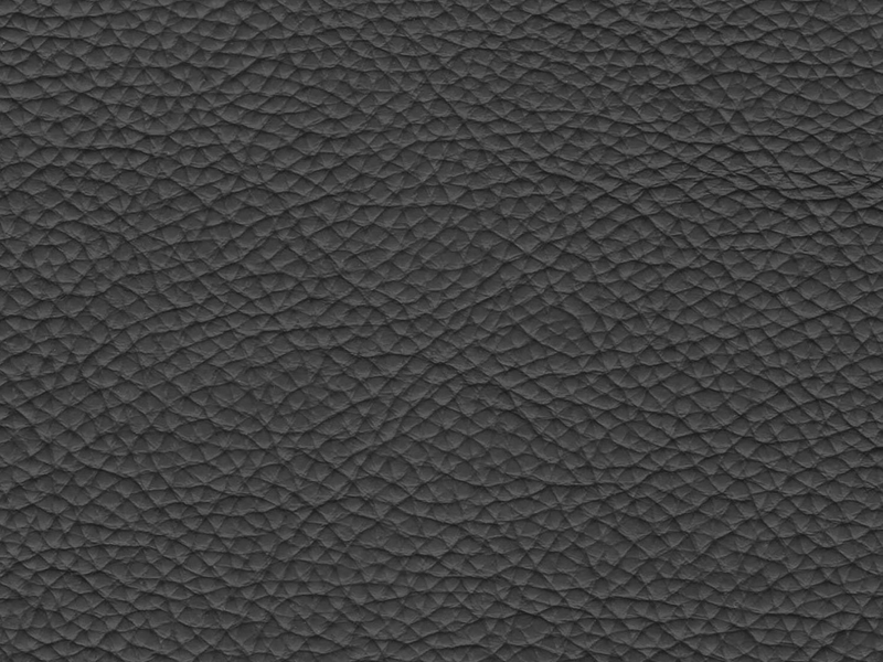 Cadence Top Grain Leather Loveseat