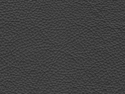 Cadence Top Grain Leather Loveseat - Dark Gray
