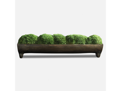 Abbyson Home Cane Moss Small Centerpiece