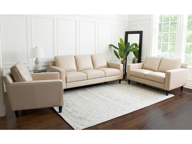Milton 3-pc Leather Sofa Set