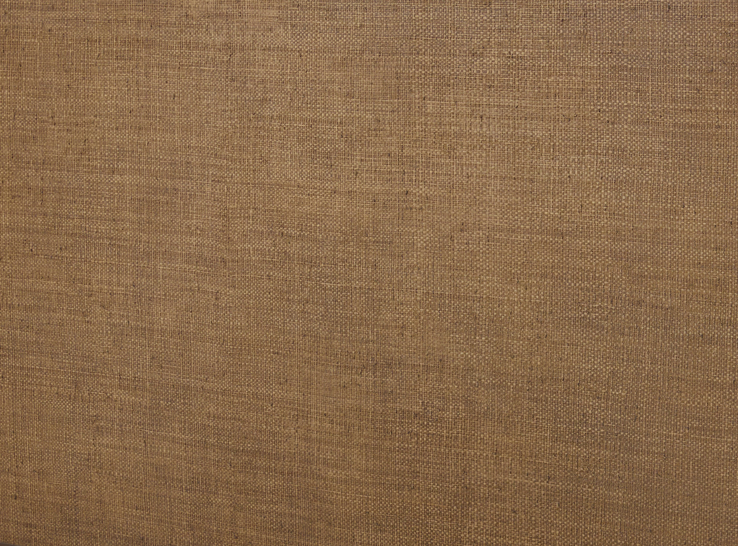 JoJo Fletcher Sawyer Oak & Grasscloth Bed, Brown - King