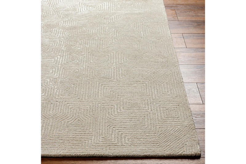Adeline Indoor Hand Tufted Rug