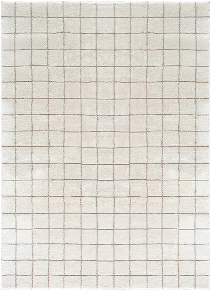 JoJo Fletcher Ranier Machine Woven Rug