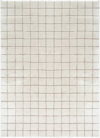 JoJo Fletcher Ranier Machine Woven Rug