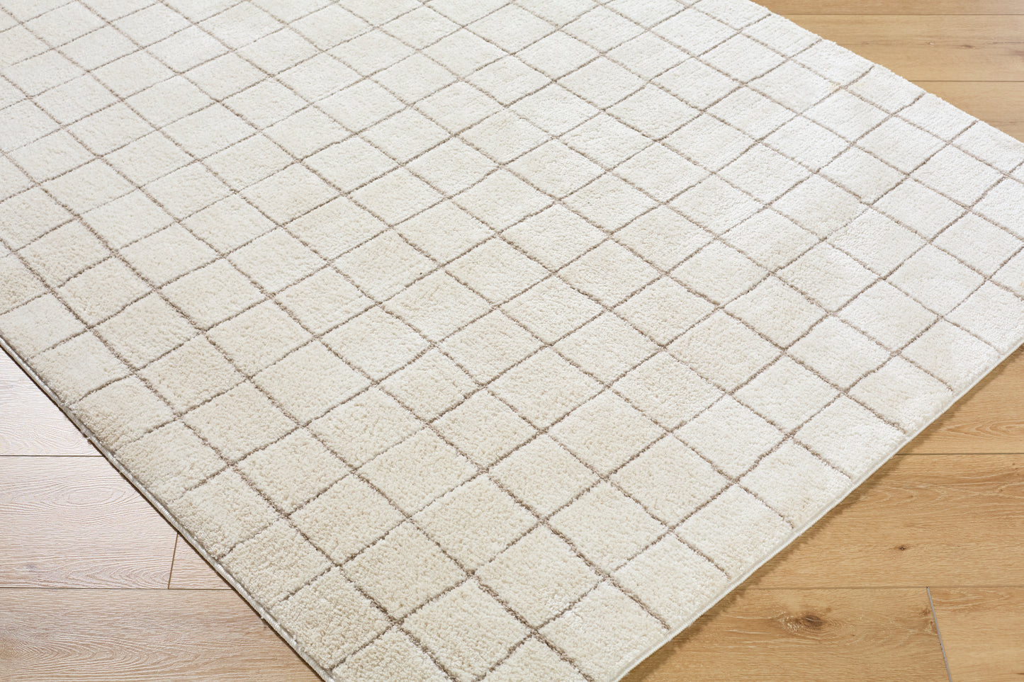 JoJo Fletcher Ranier Machine Woven Rug