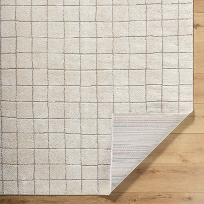 JoJo Fletcher Ranier Machine Woven Rug