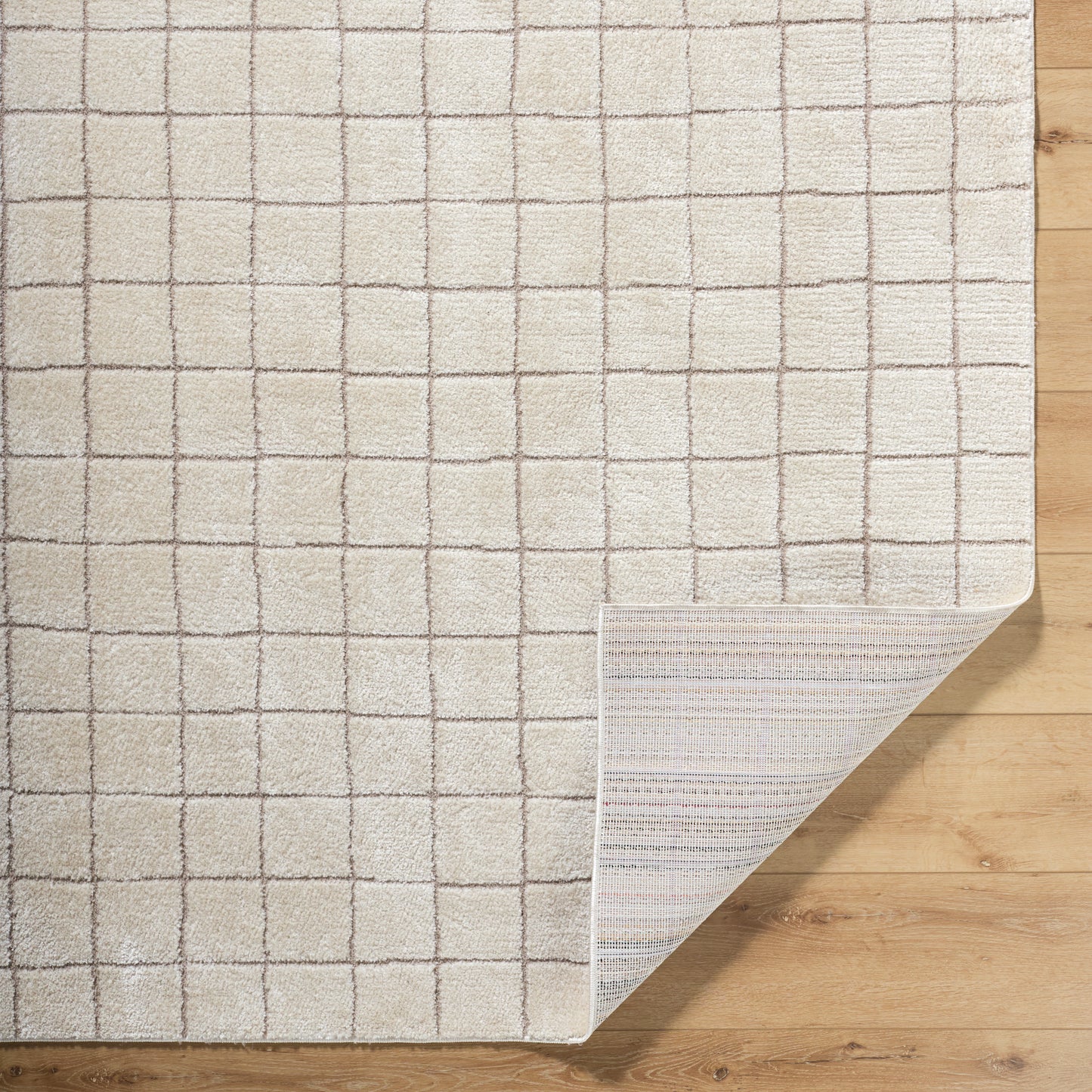 JoJo Fletcher Ranier Machine Woven Rug