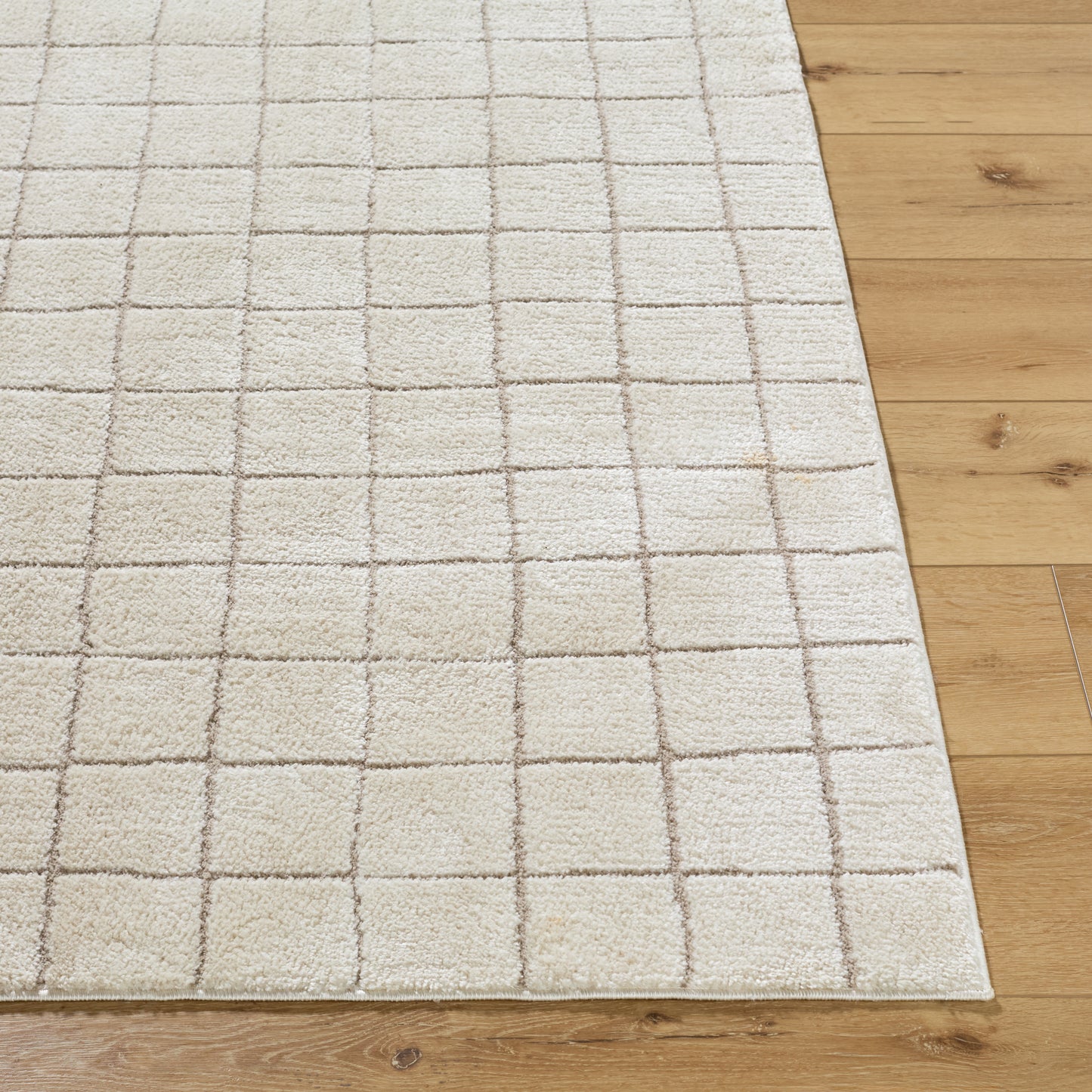 JoJo Fletcher Ranier Machine Woven Rug