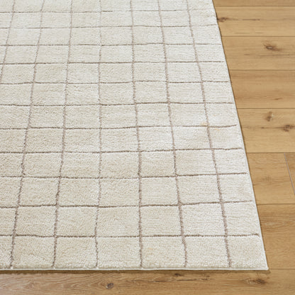 JoJo Fletcher Ranier Machine Woven Rug