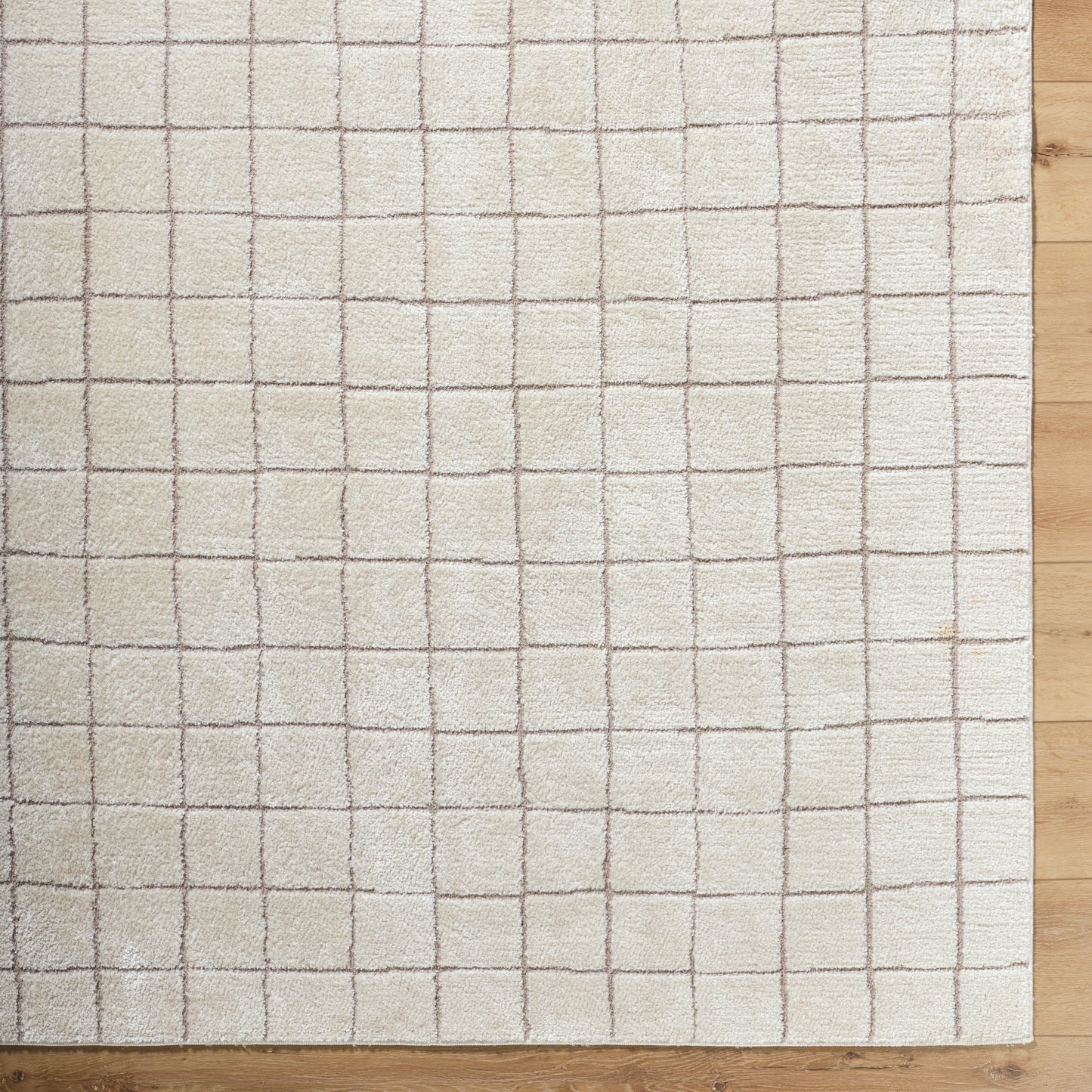 JoJo Fletcher Ranier Machine Woven Rug