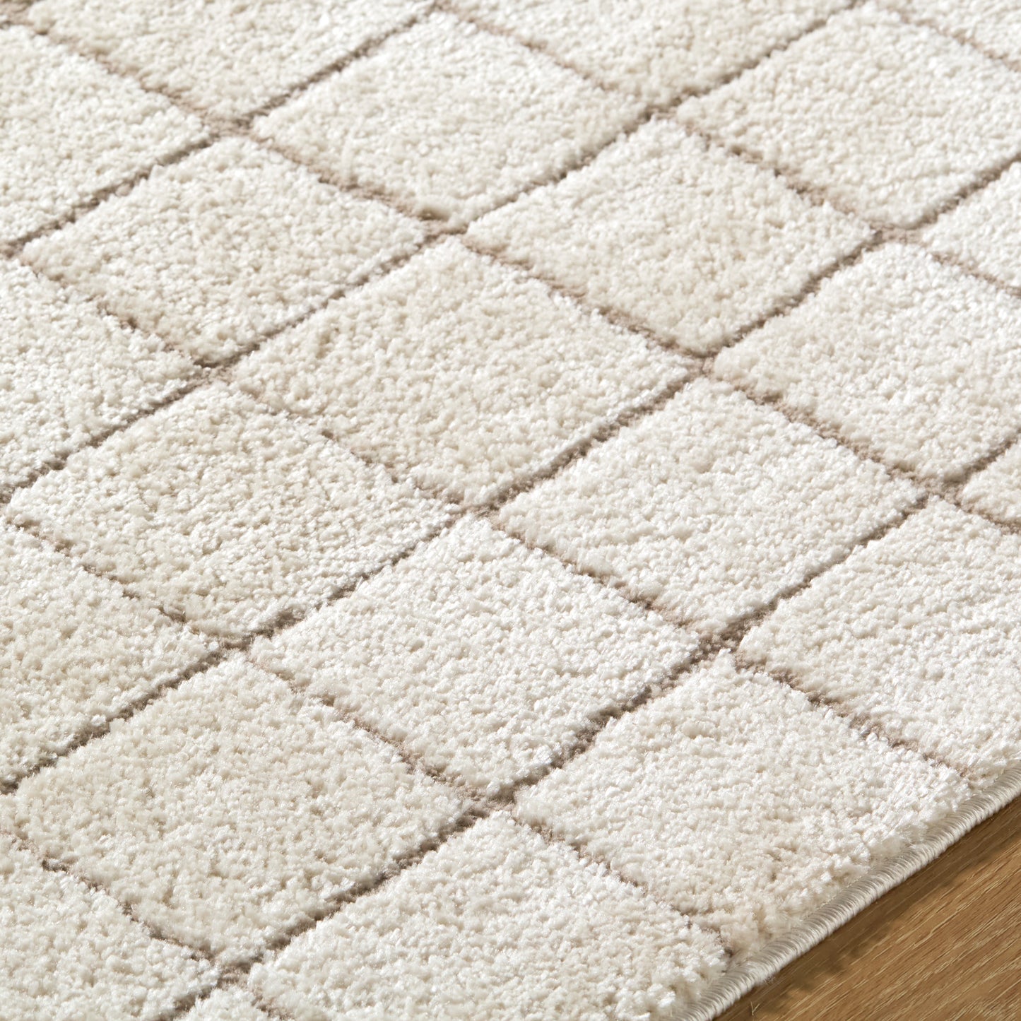 JoJo Fletcher Ranier Machine Woven Rug