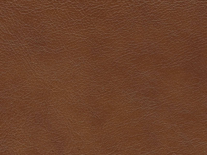 Braymor Leather Power Reclining Loveseat