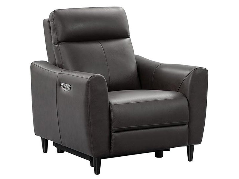 Tomasino Leather Power Recliner with Power Headrest, Dark Grey Default Title