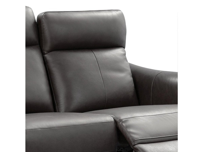 Tomasino Leather Power Reclining Loveseat with Power Headrest, Dark Grey Default Title