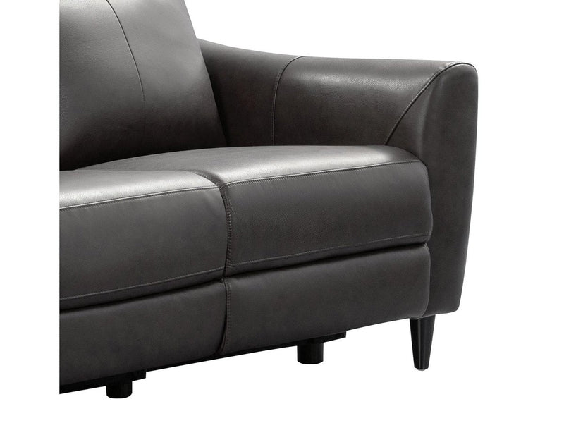Tomasino Leather Power Reclining Loveseat with Power Headrest, Dark Grey Default Title