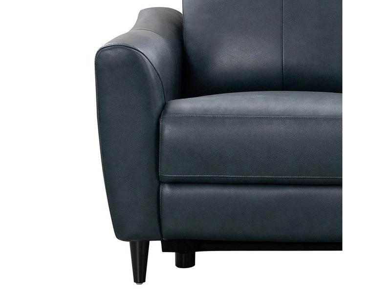 Tomasino Leather Power Recliner with Power Headrest, Blue Default Title