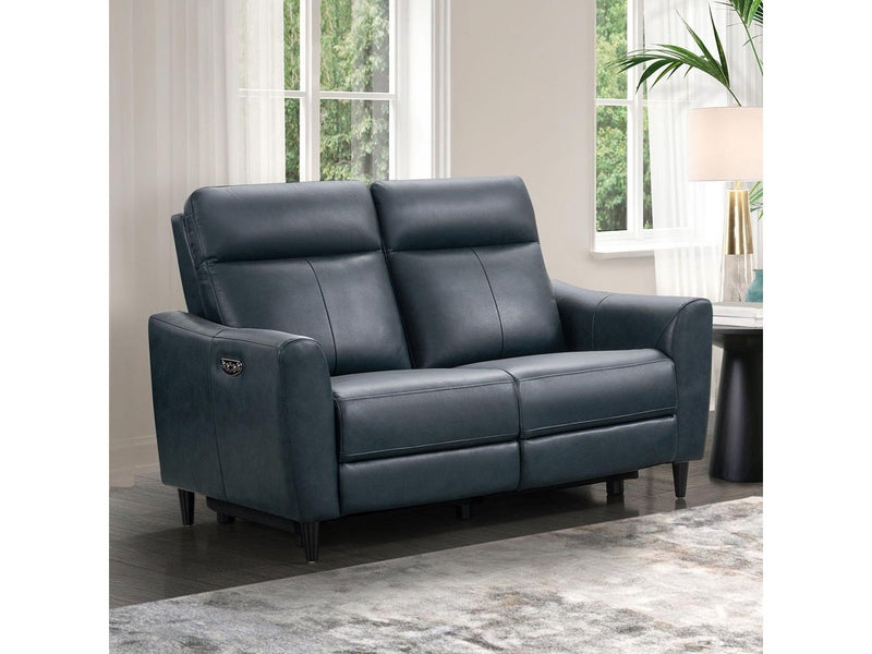 Tomasino Leather Power Reclining Loveseat with Power Headrest, Blue Default Title