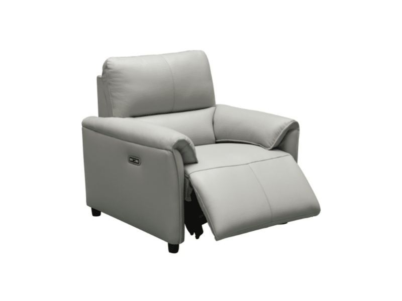 Tamara Leather Power Recliner with Power Headrest