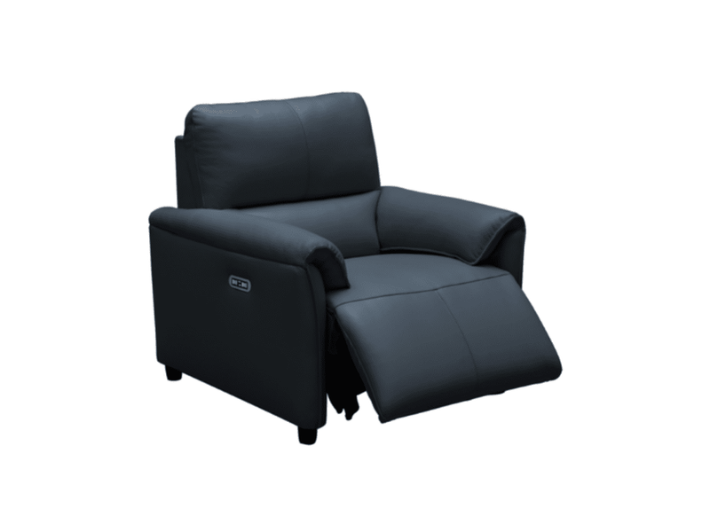 Tamara Leather Power Recliner with Power Headrest