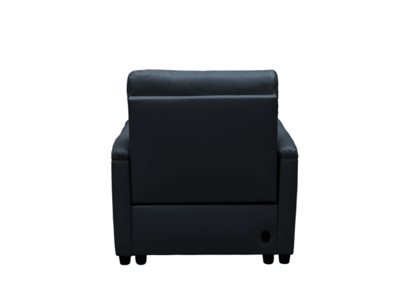 Tamara Leather Power Recliner with Power Headrest