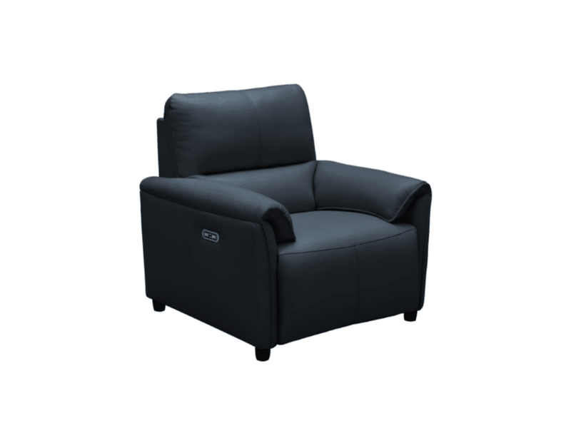 Tamara Leather Power Recliner with Power Headrest