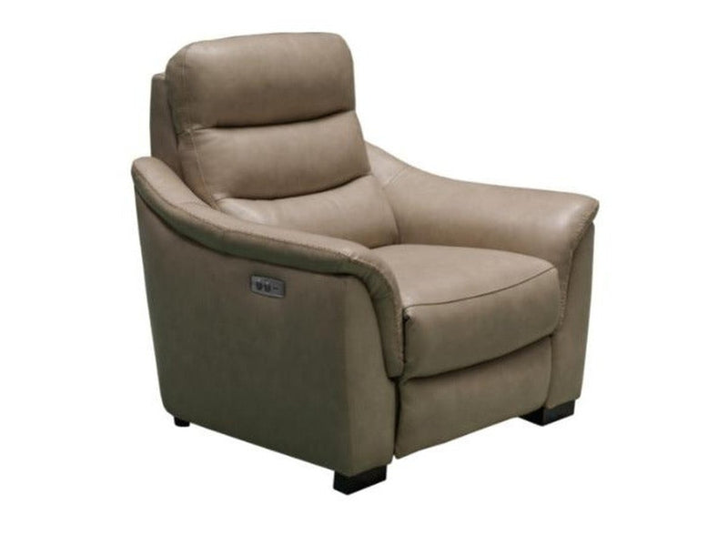 Shaffer Leather Power Recliner