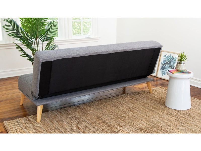 Carson Convertible Sofa Futon